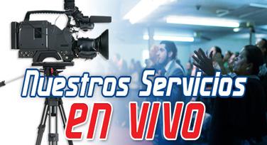 servicios-en-vivo